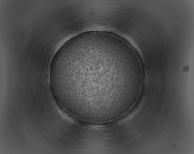 X0000091510837200708311225