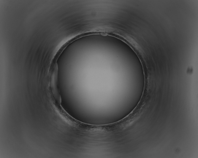 X0000091510838200708311225