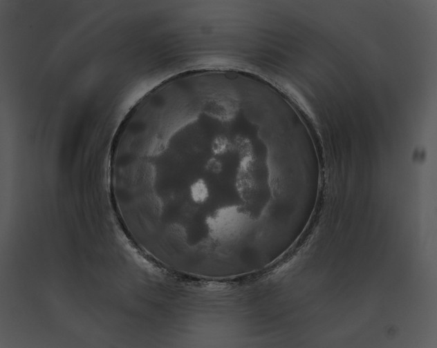 X0000091510839200708311225