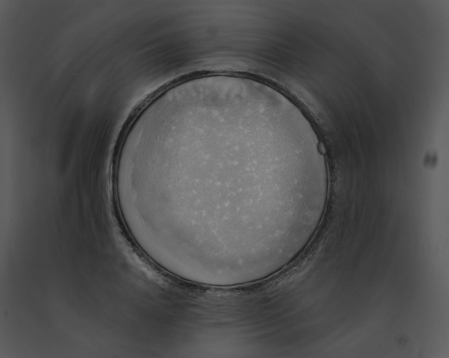 X0000091510840200708311225