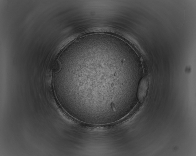 X0000091510841200708311225