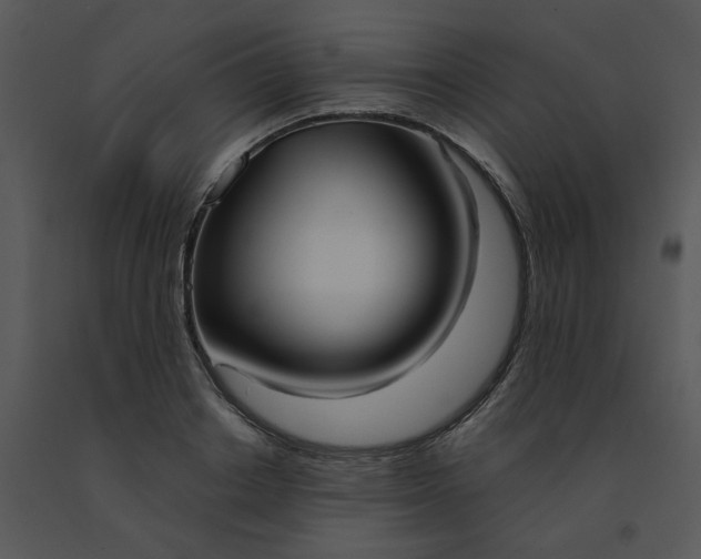 X0000091510842200708311225