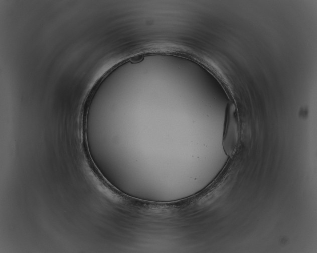 X0000091510843200708311225