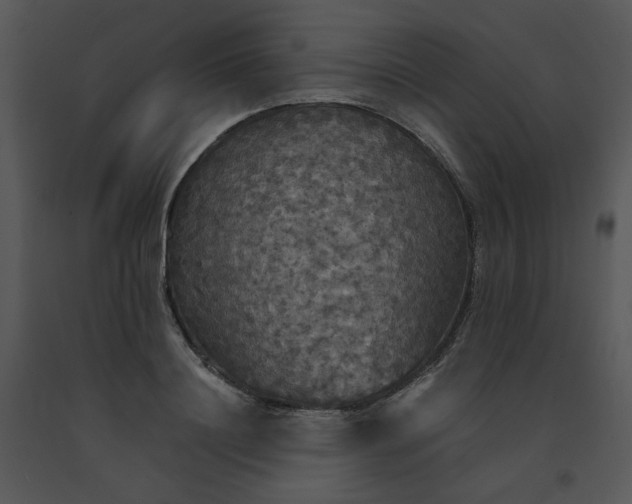 X0000091510844200708311225