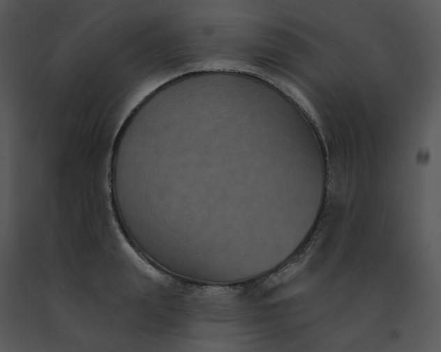 X0000091510847200708311225