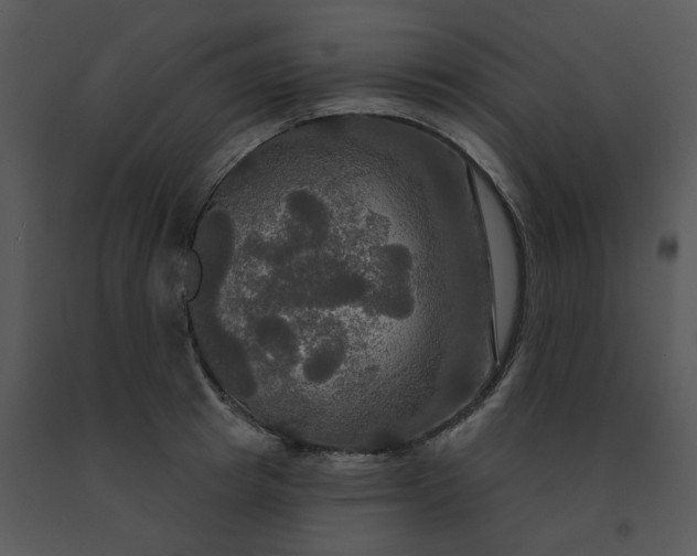 X0000091510849200708311225