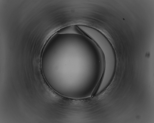 X0000091510850200708311225