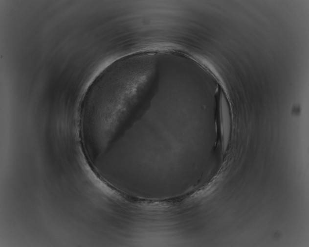 X0000091510851200708311225