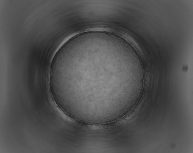 X0000091510852200708311225