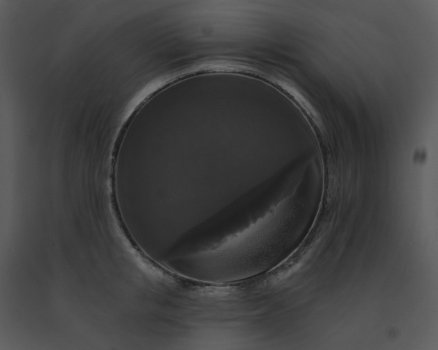 X0000091510853200708311226