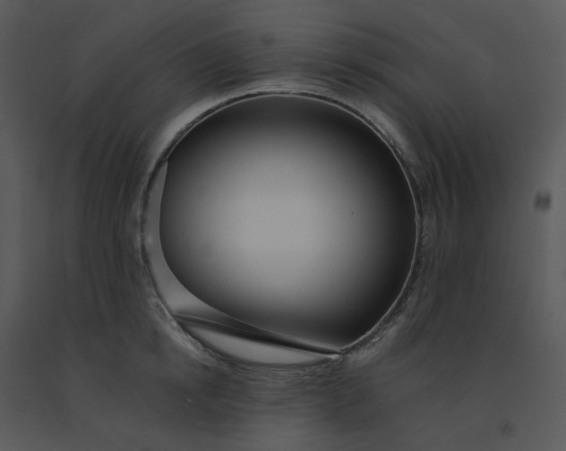 X0000091510854200708311226