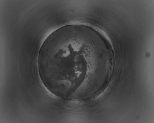 X0000091510855200708311226