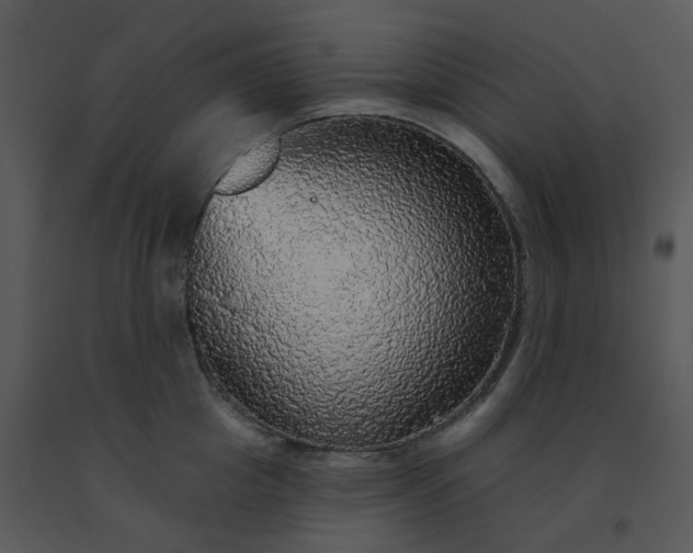 X0000091510857200708311226