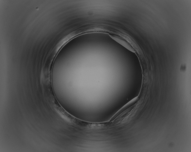 X0000091510858200708311226