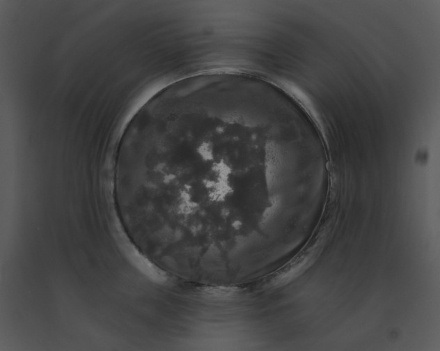 X0000091510859200708311226