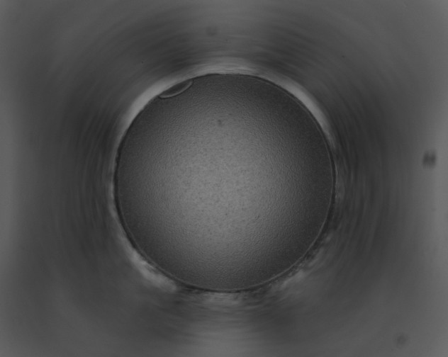 X0000091510861200708311226