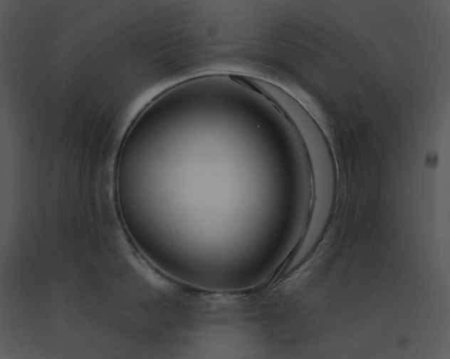 X0000091510862200708311226