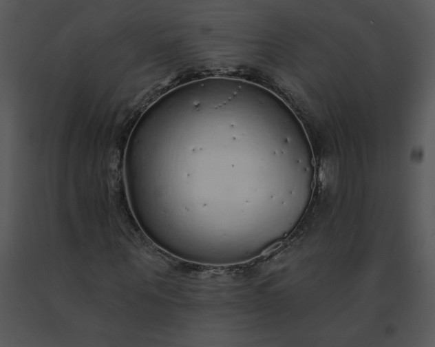 X0000091510867200708311225