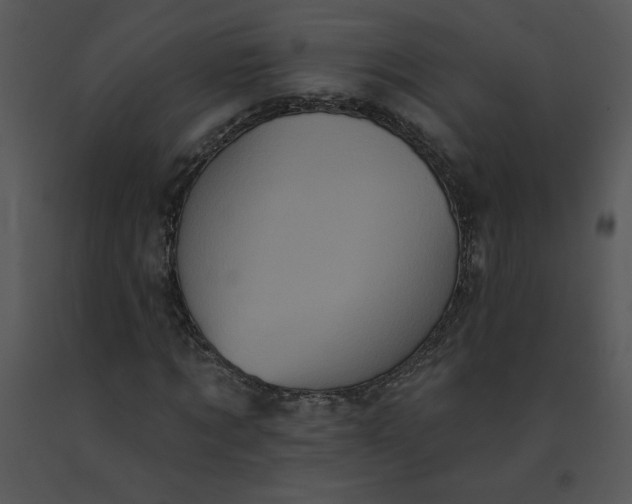 X0000091510869200708311225