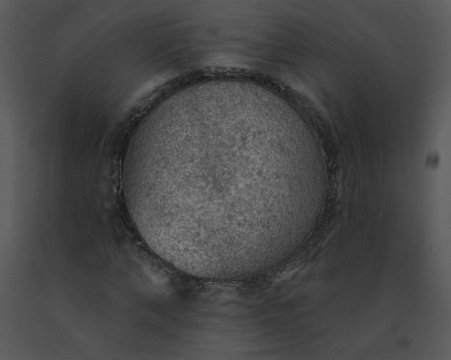 X0000091510870200708311225