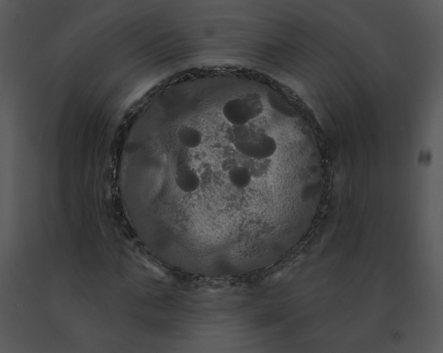 X0000091510871200708311225