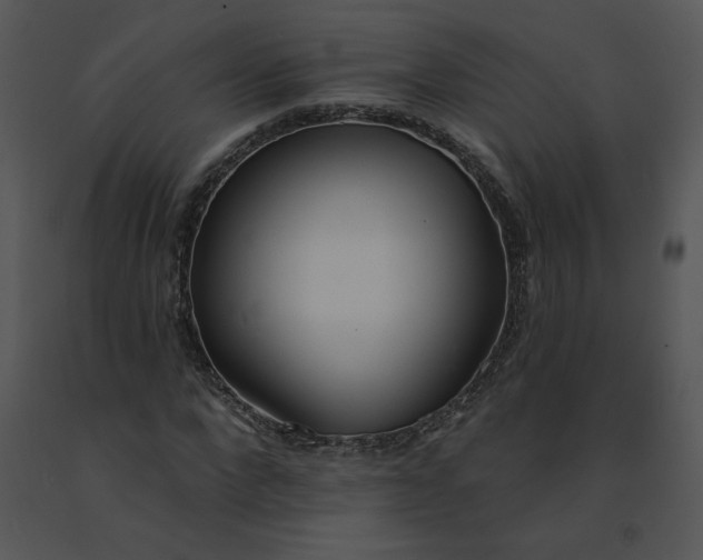 X0000091510872200708311225