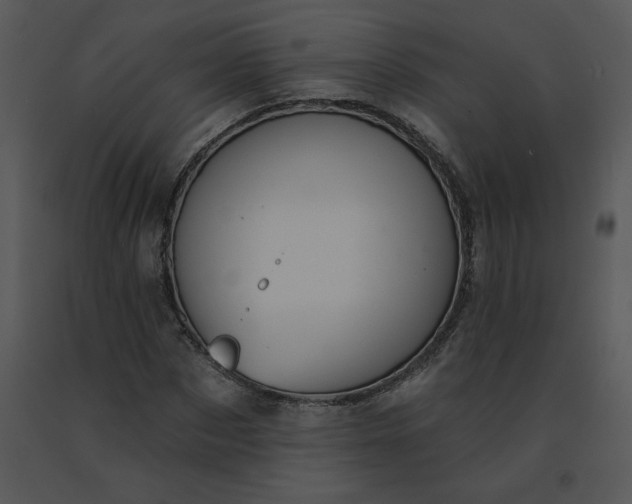 X0000091510873200708311225