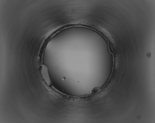 X0000091510876200708311225