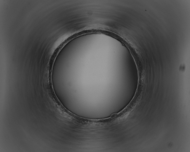 X0000091510877200708311225