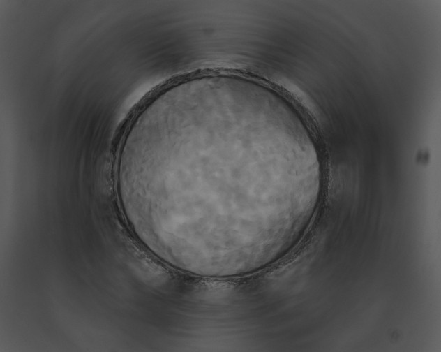 X0000091510878200708311225