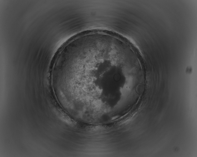 X0000091510879200708311225