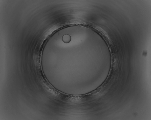 X0000091510882200708311225