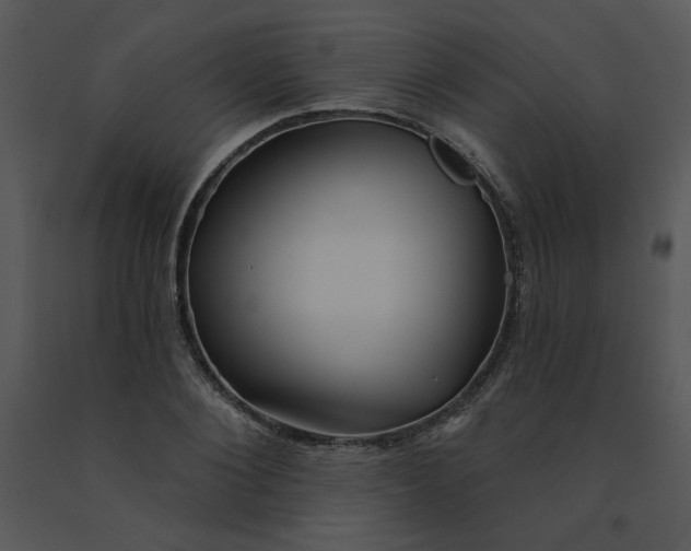 X0000091510884200708311225