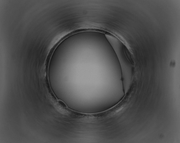 X0000091510885200708311225