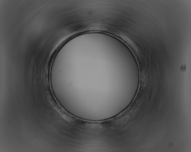 X0000091510886200708311225