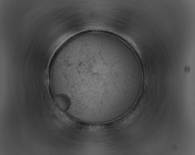 X0000091510887200708311225