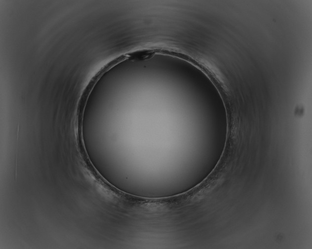 X0000091510888200708311225