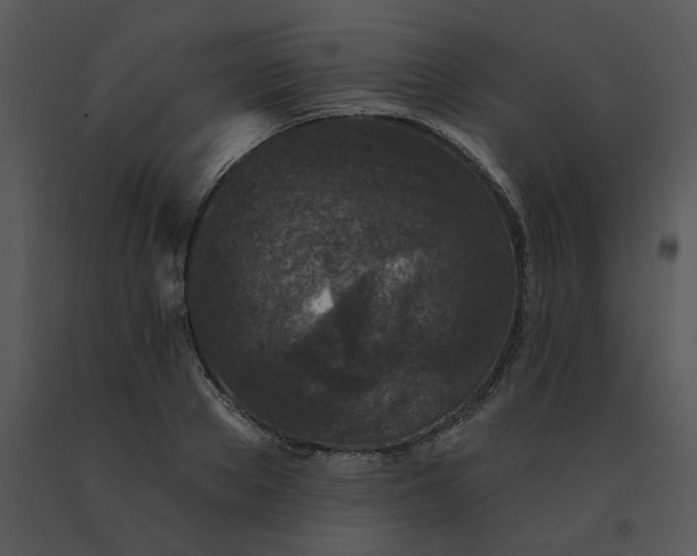 X0000091510889200708311225