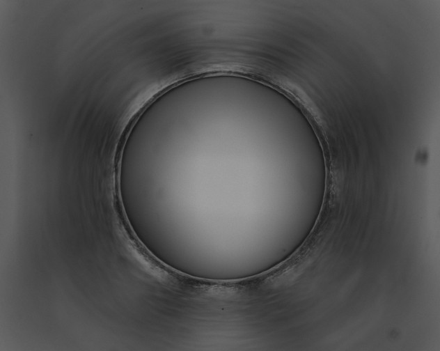 X0000091510890200708311225