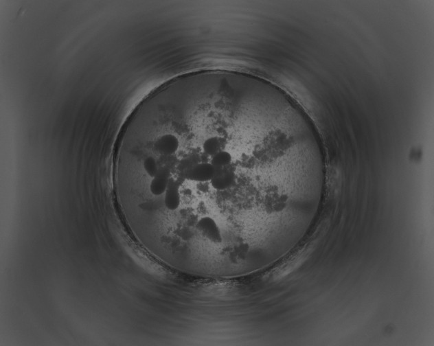 X0000091510891200708311225