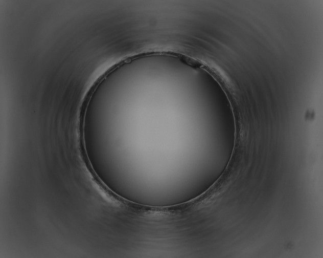 X0000091510894200708311225