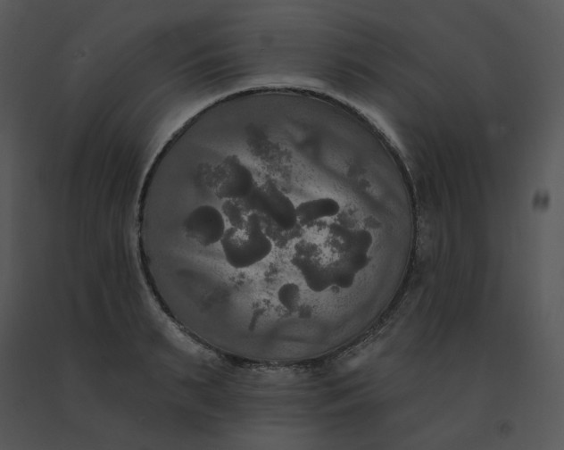 X0000091510895200708311224