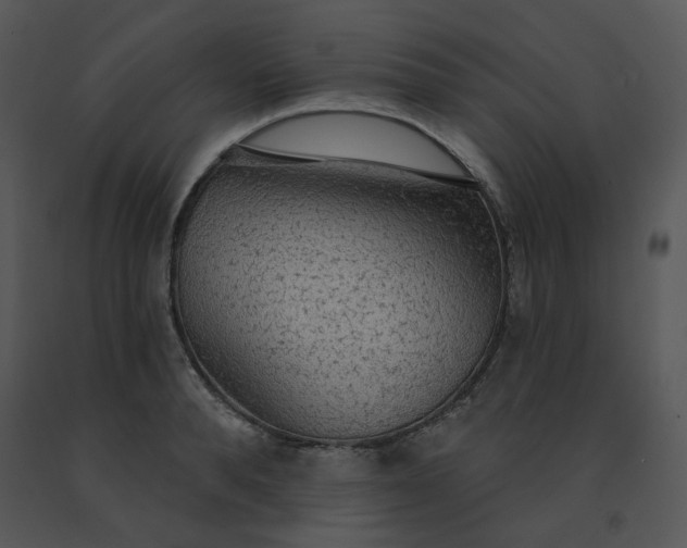 X0000091510896200708311224