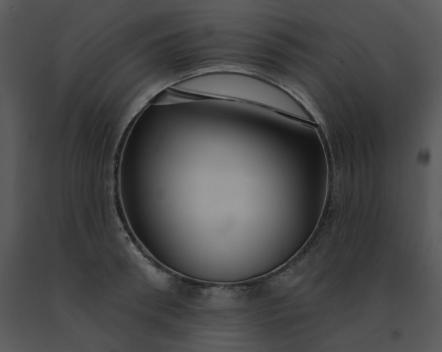 X0000091510898200708311224