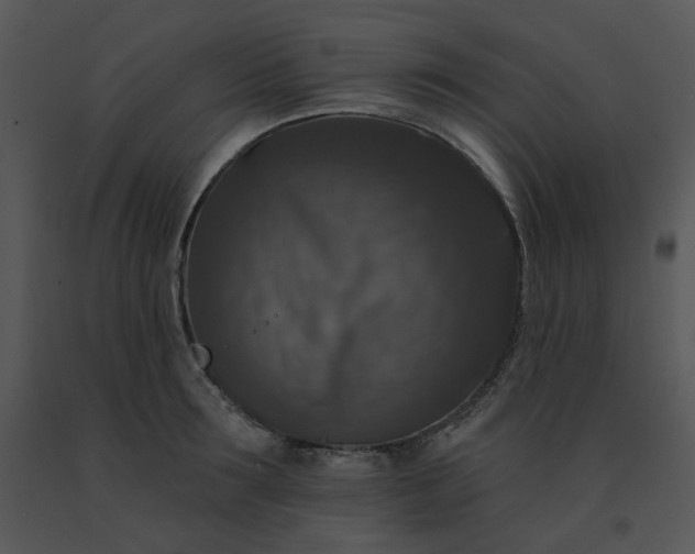 X0000091510899200708311224