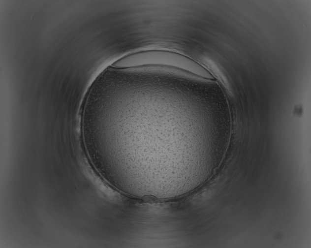 X0000091510900200708311224