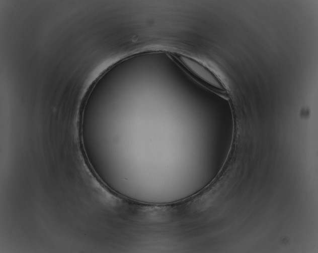 X0000091510902200708311224