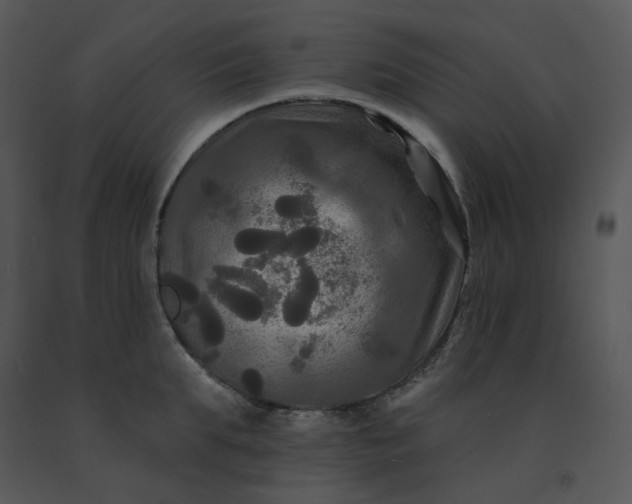 X0000091510903200708311224