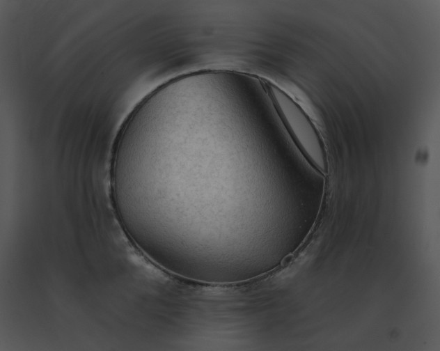 X0000091510904200708311224