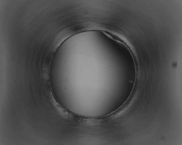 X0000091510905200708311224